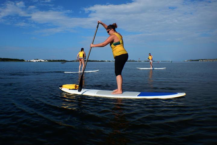 Three people Stand Up Paddleboarding on Bay