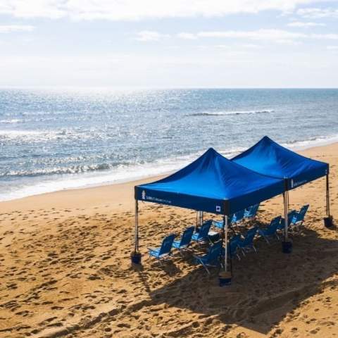 an umbrella sitting on top of a sandy beach