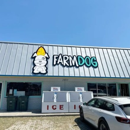 In front of Farm Dog Beach Services building
