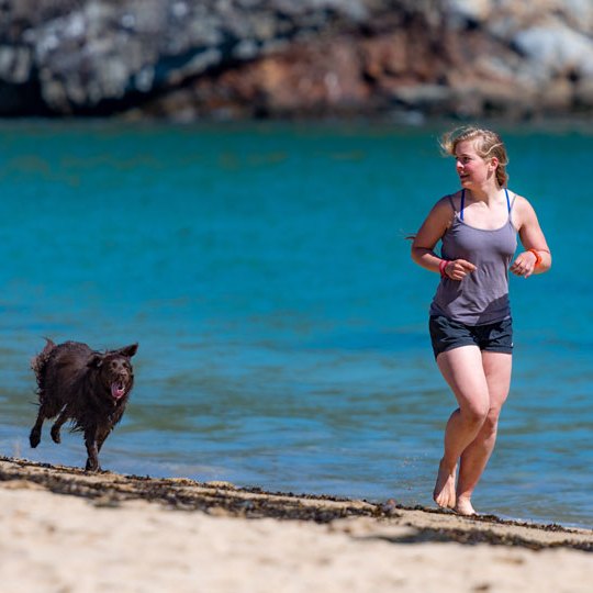 a woman and a dog walking on a beach
