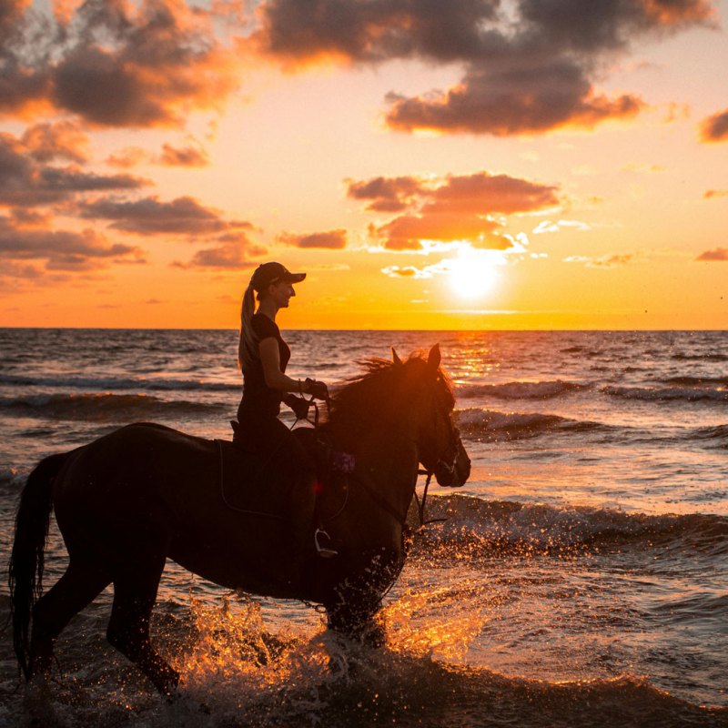 a person riding a horse on a beach in front of a sunset