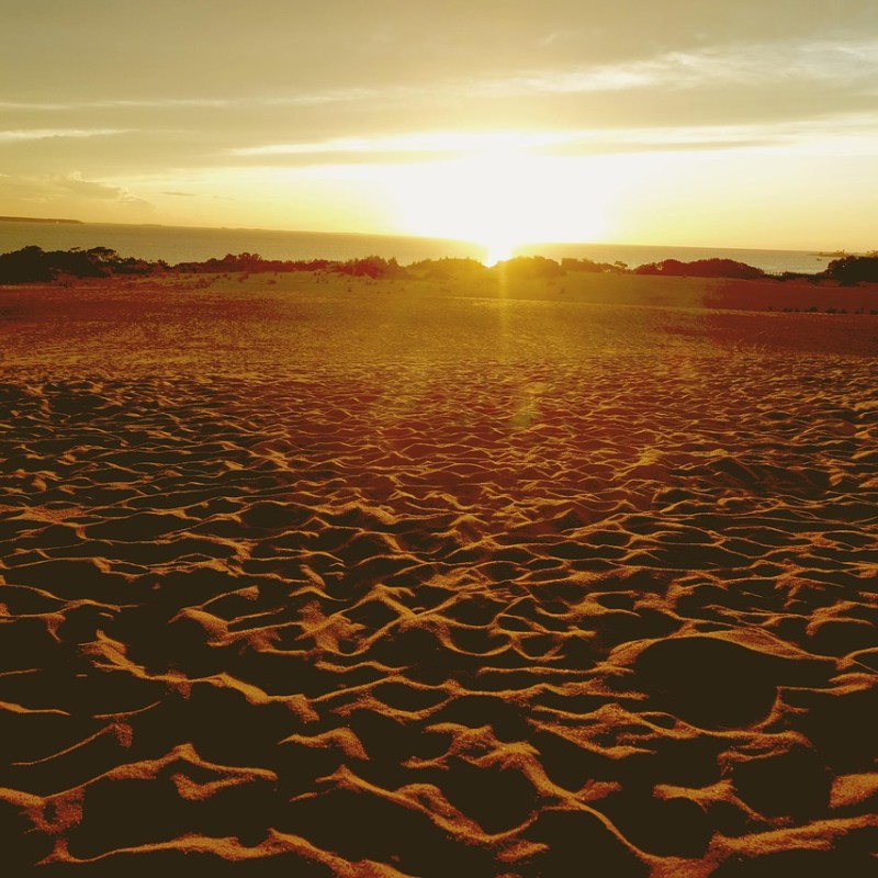Sunset over sandy landscape with distant trees and ocean horizon.