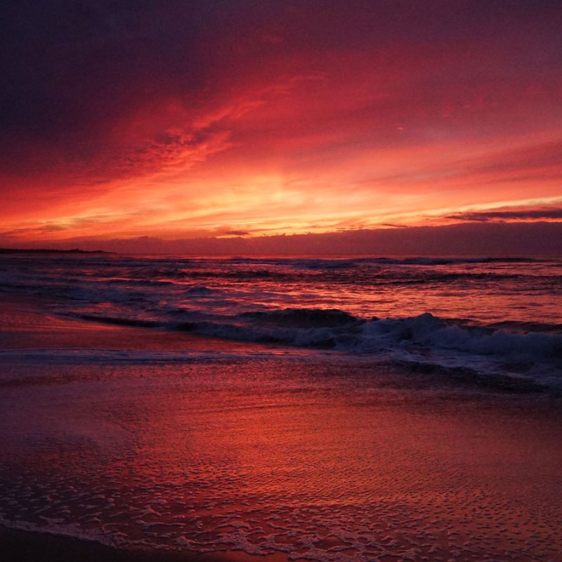 Vibrant red and orange sunset over a calm ocean beach.